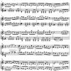 Traditional - Fiddling Around Book 2 (Violin Duets) - Digital Download