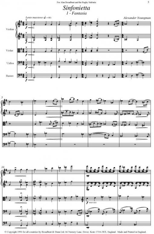Alexander Youngman - Sinfonietta for String Orchestra - Score Digital Download