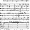 Liszt - Hungarian Rhapsody No. 2 (String Quartet Score) - Score Digital Download