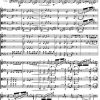 Liszt - Hungarian Rhapsody No. 14 (String Quartet Score) - Score Digital Download