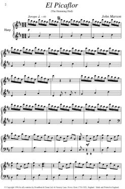 John Marson - El Picaflor (Harp) - Digital Download