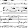 Terence Johns - Penderyn (Flute & Piano) - Digital Download