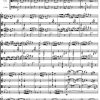 Tchaikovsky - Czardas from Swan Lake (String Quartet Score) - Score Digital Download