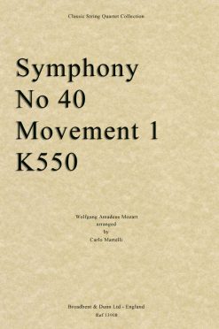 Mozart - Symphony No. 40 Movement 1