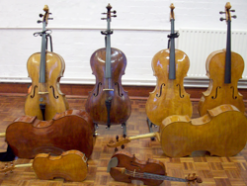 String Orchestra