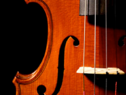 Violin & Harpsichord