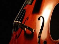 Violin, 'Cello & Harp